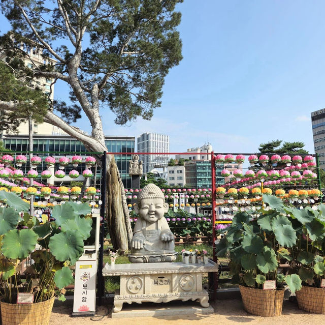 Jogyesa Temple's Timeless Charm