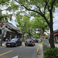 Immerse Yourself in Tradition at Jeonju Hanok Village