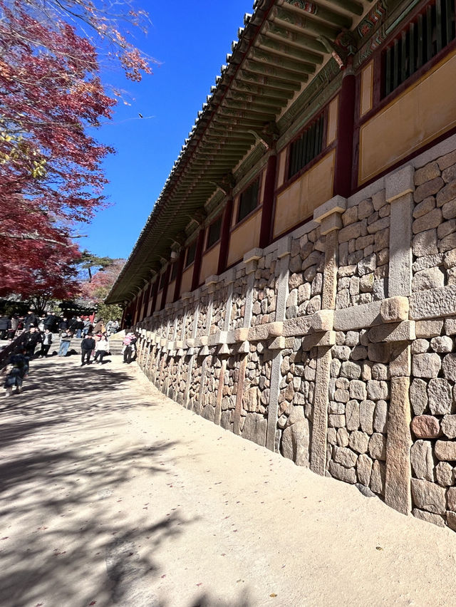 🇰🇷慶洲✈️世界文化遺產「佛國寺불국사」🍁