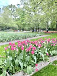 Step into a fairytale of blooms at Keukenhof next year spring.