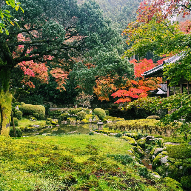 Beauty in the drizzle - Itoshima day trip 