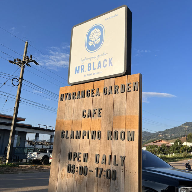 Mr.Black Cafe Doichang | สวนดอกไม้ คาเฟ่ และที่พัก