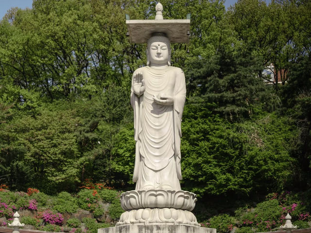 《奉恩寺——一處靜謐的心靈淨土》