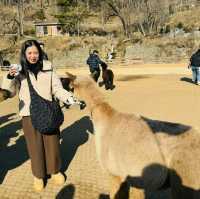 Alpaca World