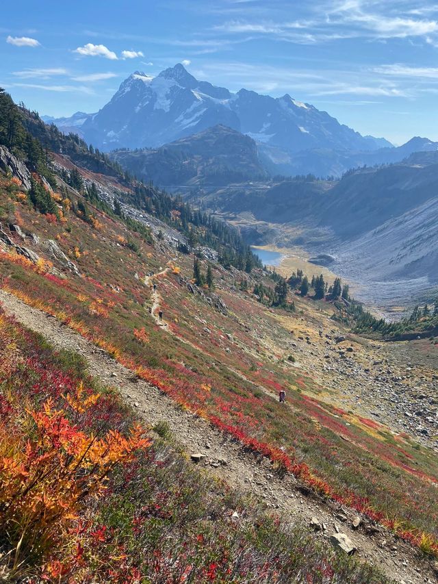 Mt Baker 賞秋Chain Lakes 徒步