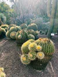 植物園探險指南—帶你走進阿利坎特的植物世界。