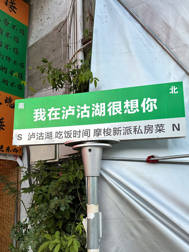 在瀘沽湖被這兩隻狗狗吸引住了。