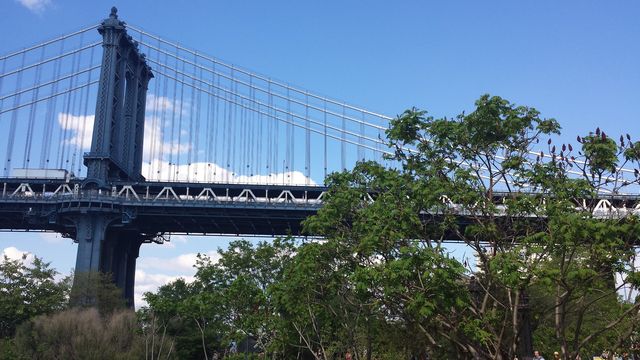 布魯克林大橋。