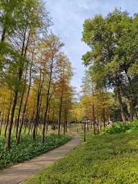 深圳紅花嶺公園