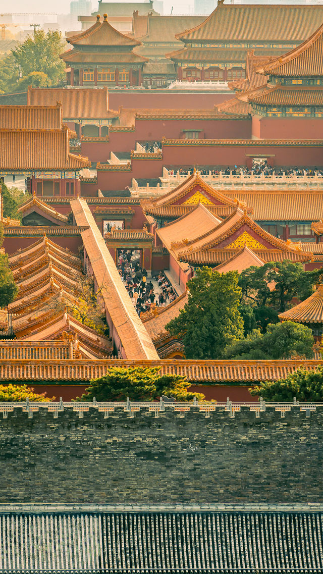 北京景山公園拍照打卡攻略~故宮全景