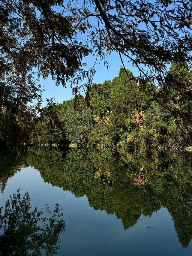 我宣布！這就是上海最寧靜的公園