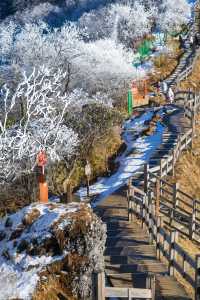 四川旅行｜美爆了的西嶺雪山，從早嗨到晚！