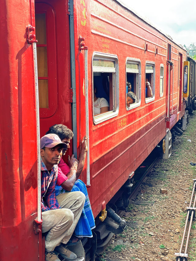 冬季反向遊 | 斯里蘭卡必體驗，高山茶園火車之旅！