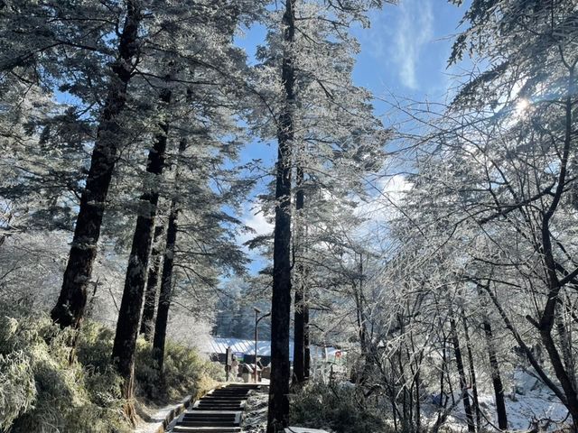 【雪域峨眉】冬季峨眉山，探秘冰雪世界的佛教聖地