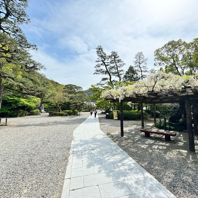 岐阜縣岐阜城半日遊｜松鼠館、金華登山纜車、美食午餐