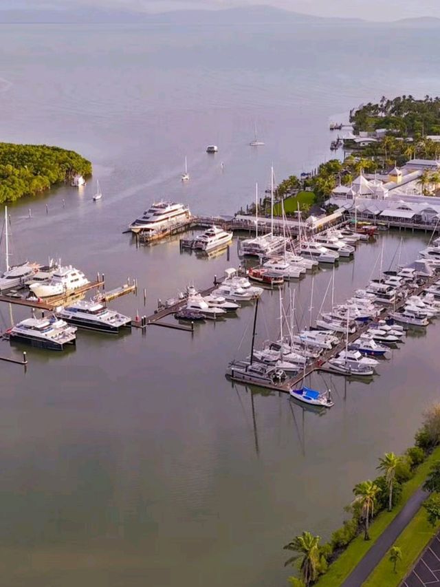 Discover the Magic of Port Douglas 🌴✨ 🦘