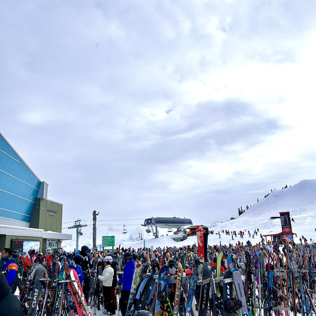 【Whistler Mountain in vancouver】🇨🇦    世界的なスキー⛷️の地でただの観光！？