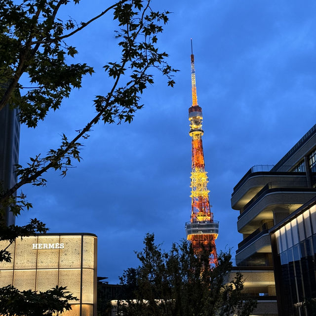 A city of endless possibilities - Tokyo 