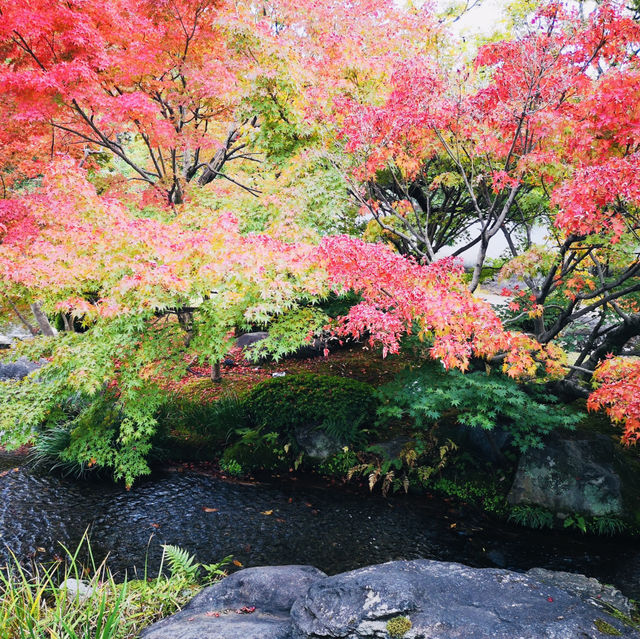 Nature’s Palette: Autumn Bliss at Kokoen Garden, Himeji!