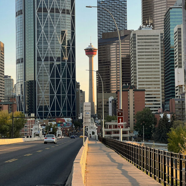 Calgary: The Gateway to the Canadian Rockies and Urban Charm