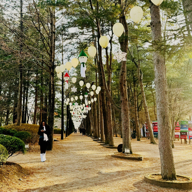 A Magical Autumn-cum-Winter Getaway to Nami Island!