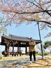 Spring Serenity: Walking Along Geumho River in Daegu