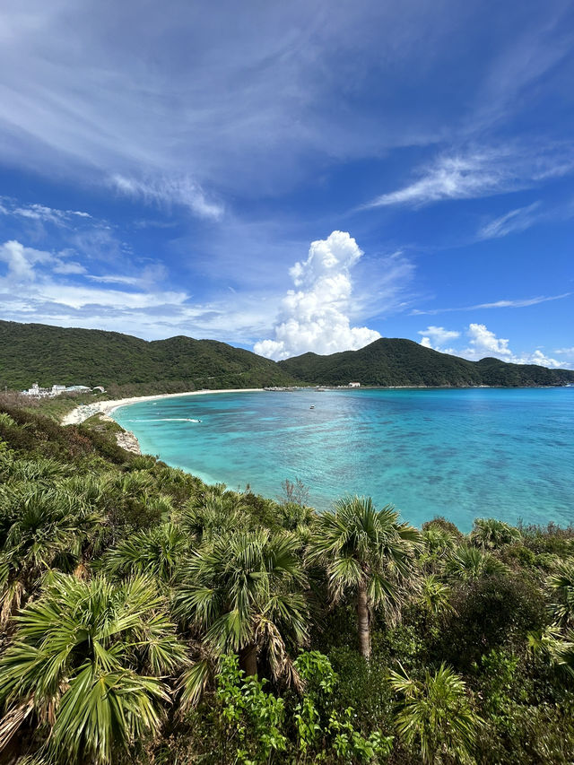 【渡嘉敷】驚くほど透明な海で癒しのひとときを🏝️