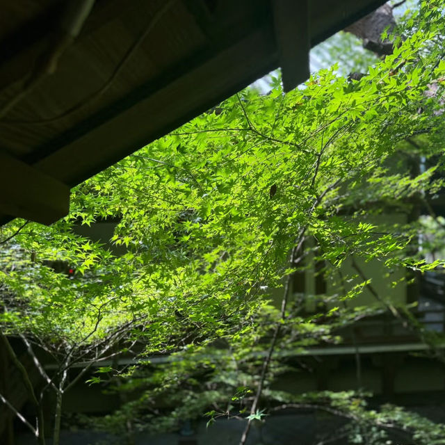 京都天授庵：禪意與紅葉交織的靜謐聖地