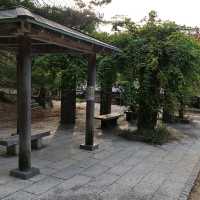 高台寺公園