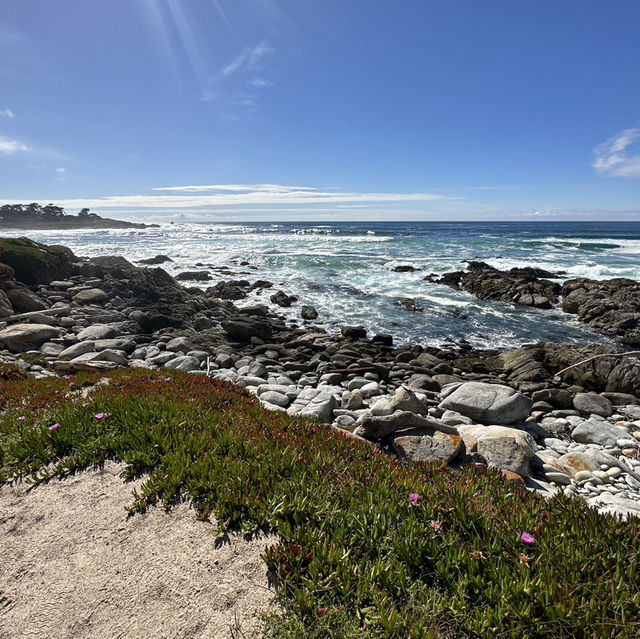 Monterey: Where Coastal Beauty Meets Timeless Charm