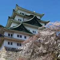 ศึกษาประวัติศาสตร์ @ Nagoya Castle