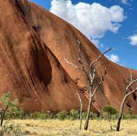 Majestic and Timeless: My Awe-Inspiring Visit to Uluru!