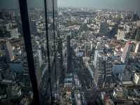 Glass Roof up in the Sky!