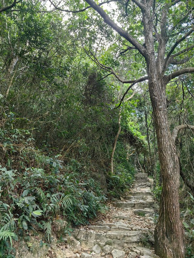 登七娘山，地質體驗之旅。