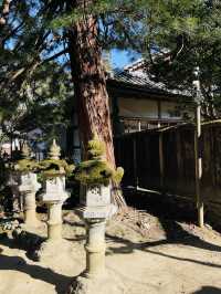 日本·京都高雄西明寺