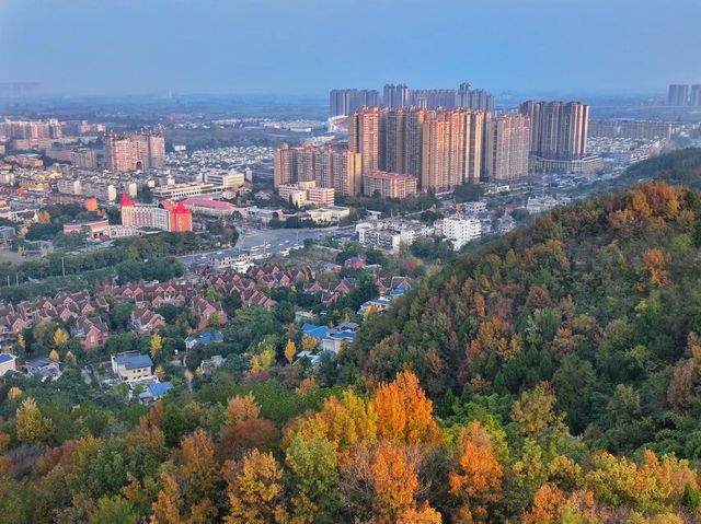 冬日暖陽下的龍泉山彩林，太出片