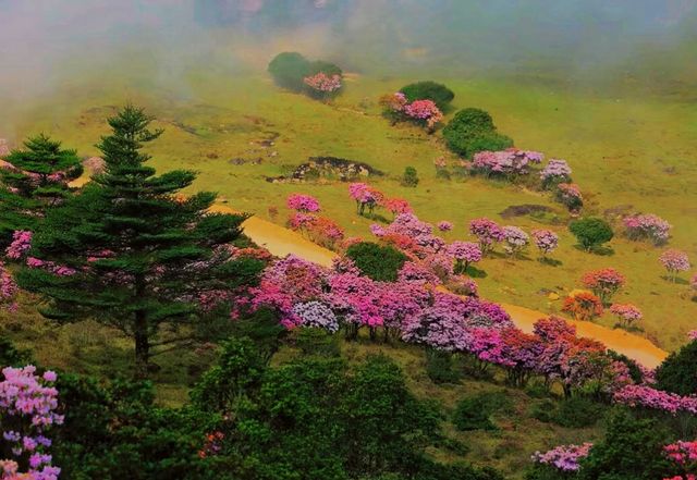 四川螺髻山，看過《楚喬傳》的朋友應該不陌生吧~