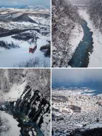 冬日漫步，北海道的冬天拍照也太出片了