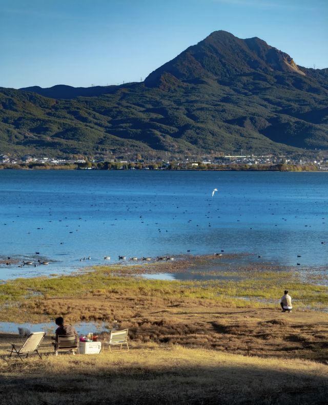 絕美秘境 拉市海 不可錯過的雲南旅遊聖地