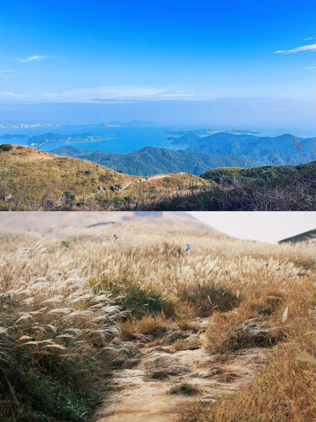 深圳當天往返大東山徒步快走起