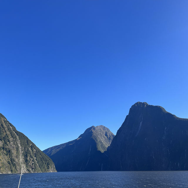 Bucket list experience done✅ Milford sound!!