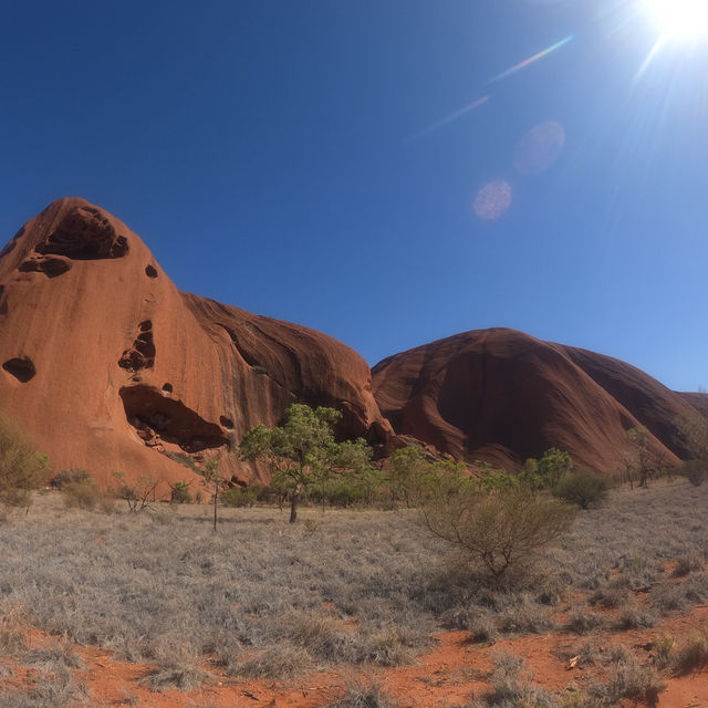 Uluru at dawn 