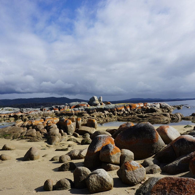 Wild Tasmania: A Journey of Untamed Beauty 