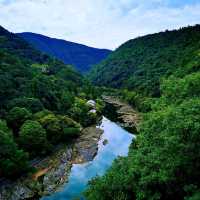 保津川漂流•渡月橋•竹林小徑•嵯峨野觀光小火車