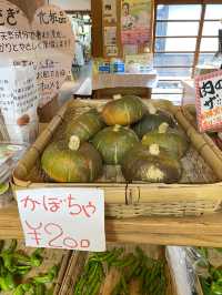 【夢前町】野菜つめ放題100円