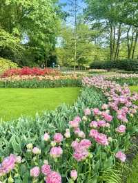 Step into a fairytale of blooms at Keukenhof next year spring.