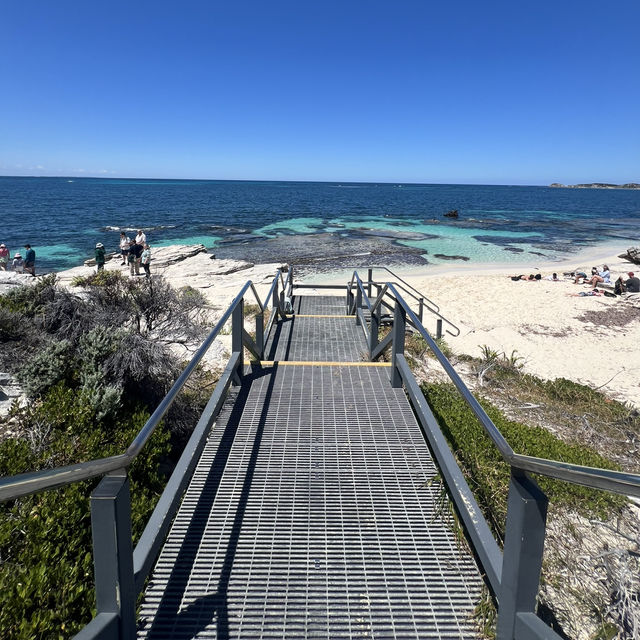 第三次探訪 Rottnest Island：美景與騎行的絕佳體驗