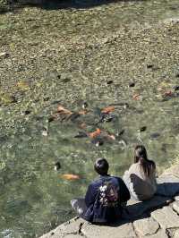 Takayama: A Day of Charm and Serenity