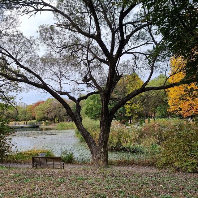 Seoul Forest Park 