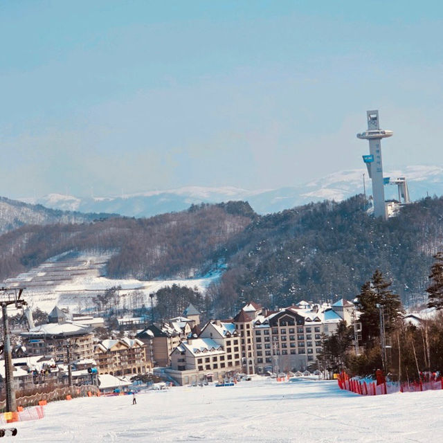 Alpensia Ski Resort: A Winter Wonderland in Pyeongchang